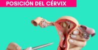 medir la posicion del cervix cuello uterino obertura para conseguir embarazo rapidamente